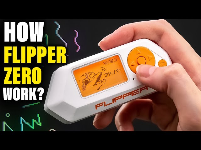 How the Most DANGEROUS Tool FLIPPER ZERO Works!