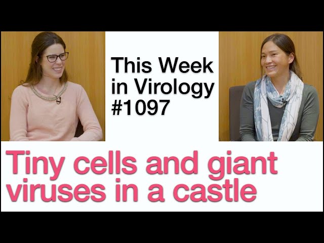 TWiV 1097: Tiny cells and giant viruses in a castle