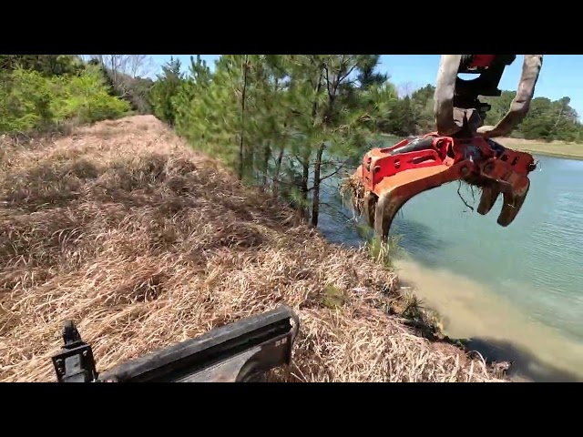 Rotobec mini pc grapple is incredible for this type work- clearing off a pond dam
