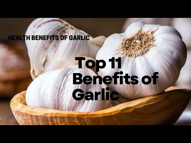 Health benefits of garlic | Garlic | Benefits of garlic | raw garlic benefits |uses of eating garlic