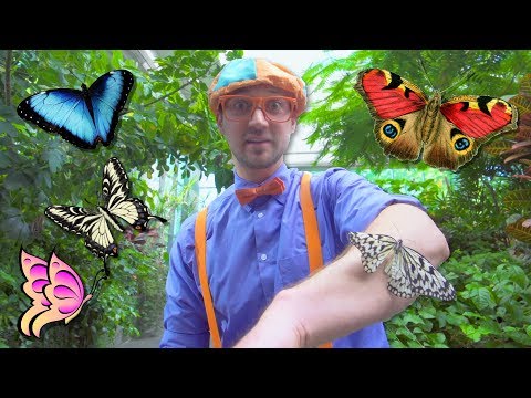 Blippi Explores the Pacific Science Center | Educational Videos for Toddlers