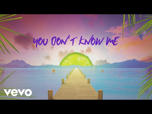 Sigala, Shaun Frank, Flo Rida - You Don't Know Me (Lyric Video) ft. Delaney Jane