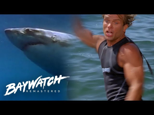 SHARK ATTACKS Cody Whilst Out On His Surf Board! Baywatch Remaster