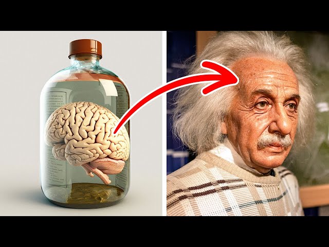 He Worked As a Clerk And Other Facts You Didn't Know About Einstein