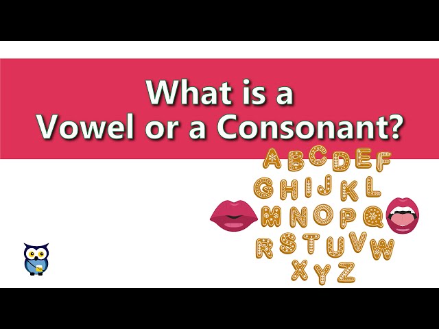 What is a Vowel or a Consonant?