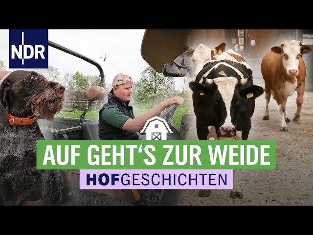 Die Kühe auf die Wiese - die Arbeit beginnt | Hofgeschichten: Leben auf dem Land (277) | NDR