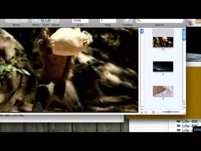 แปลง PNG หลายภาพเป็นหนึ่งไฟล์ PDF ฟรี (Mac)-MR