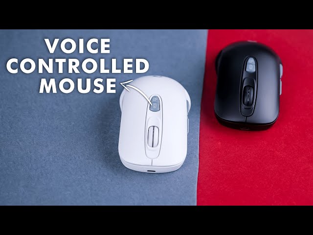 Tess Gift AI Voice Mouse Review - Voice Controlled Mouse!