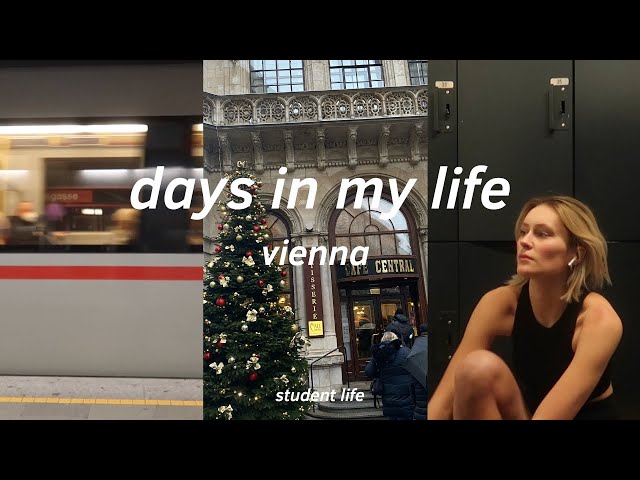 Vlog/ Studieren in Wien | Lehramt, Weihnachten  ……