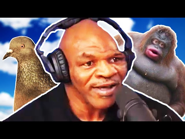 Mike Tyson Ruins The Impaulsive Podcast