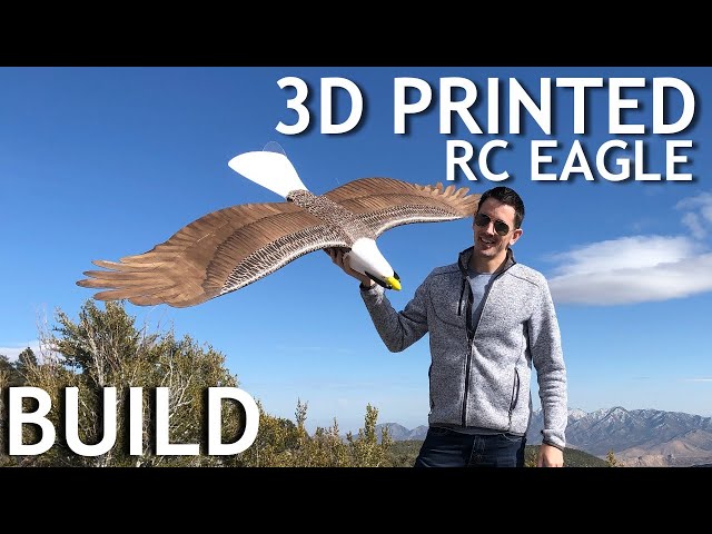 Epic DIY 3D Printed Planeprint Eagle Build