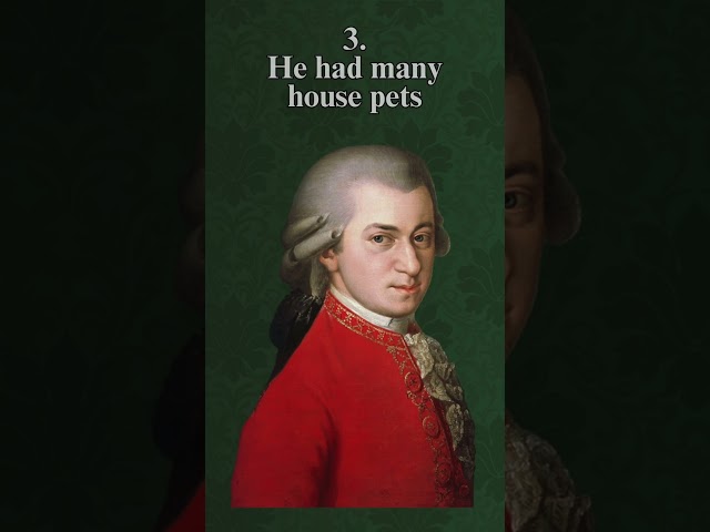 5 Facts You Didn't Know about Mozart | #classicalmusic #mozart #musichistory