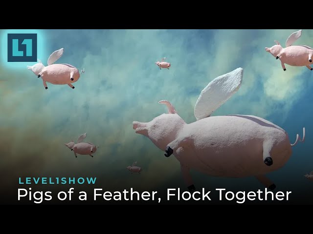 The Level1 Show March 26 2024: Pigs of a Feather, Flock Together