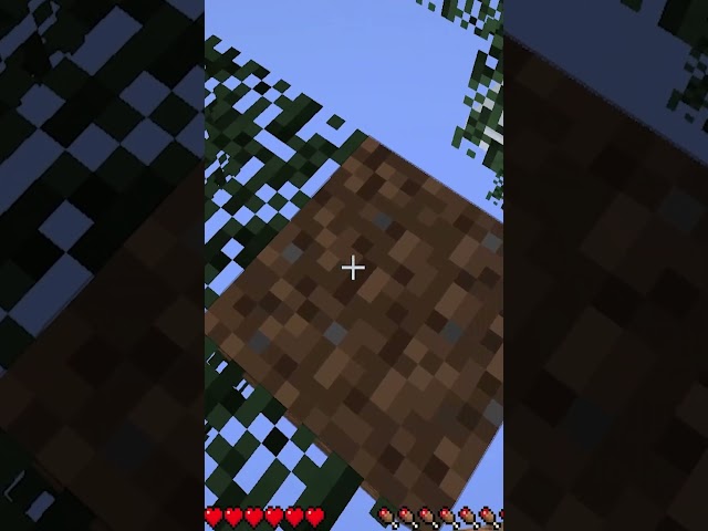 Minecraft, but your GRAVITY changes!
