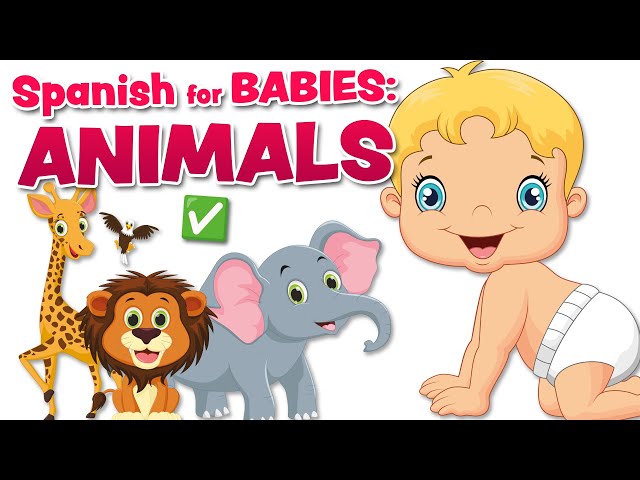 Spanish for babies: The ANIMALS ✅🐶🐾