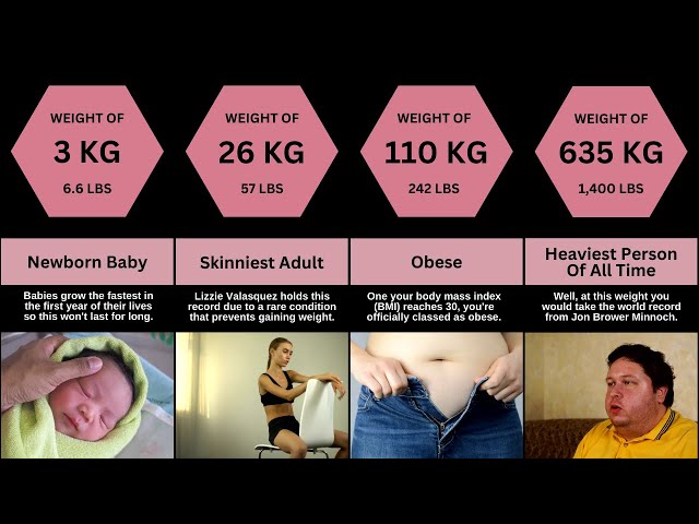 Human Body at Different Weights | Comparision Tv