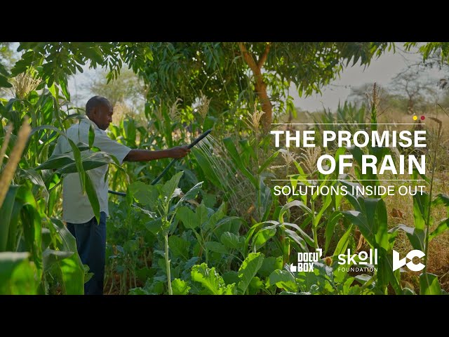 How One Farmer Made It Rain During a Drought | #SolutionsInsideOut | KickStart International