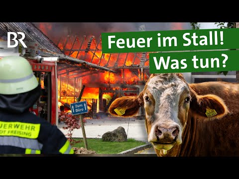 Tabuthema Stallbrand: Wie kann man Tiere retten? Brandschutz im Stall | Unser Land | BR