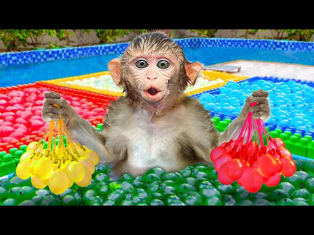 KiKi Monkey swimming and try Four Colors Water Balloons Challenge with ducklings | KUDO ANIMAL KIKI