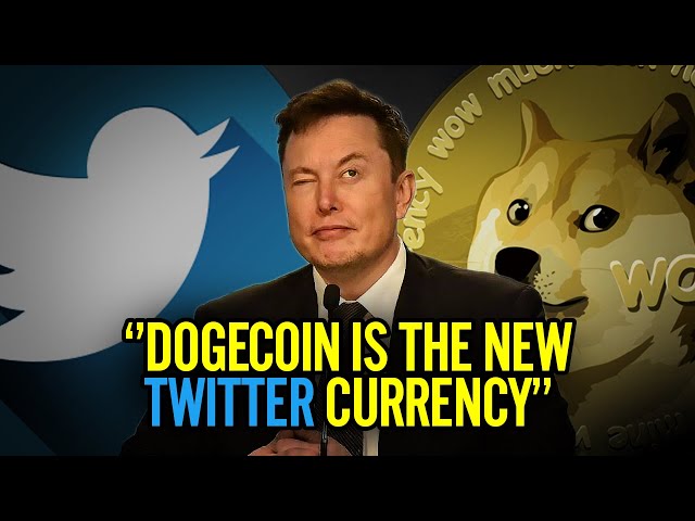 Elon Musk Just Declared DOGE COIN The Official Twitter Currency!
