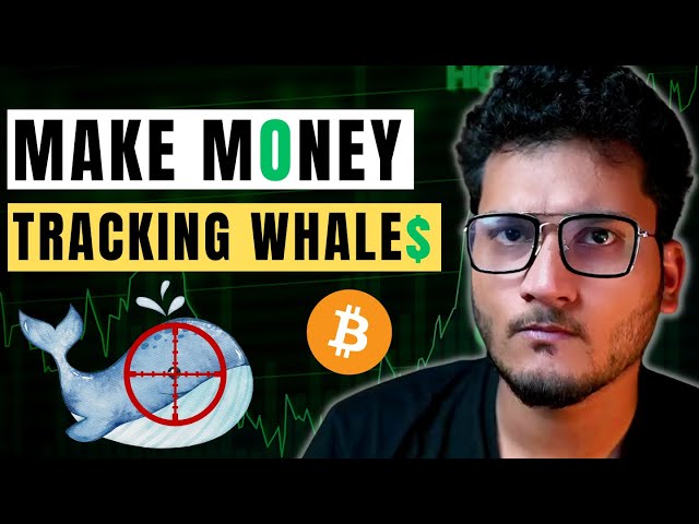 Crypto WHALES ke Trades TRACK kaise kare | How to Find Crypto whale NFT Coin trades | GMX Dune Quant