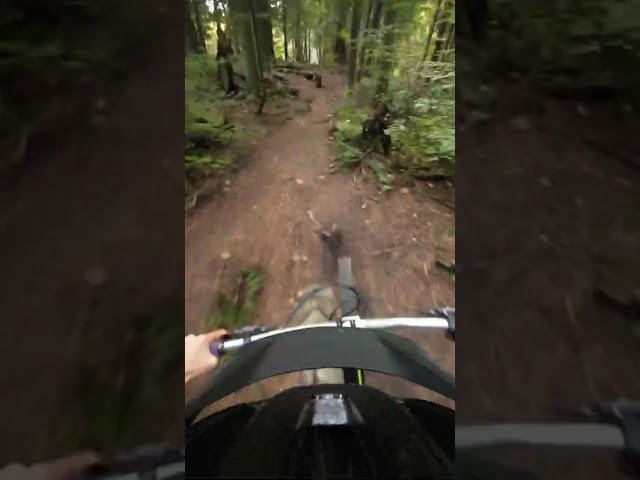 Being mindful of other trail users #mtb
