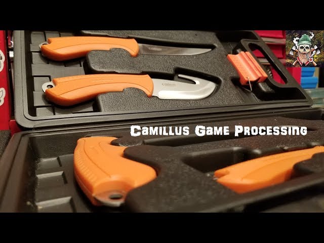 Camillus Game Processing
