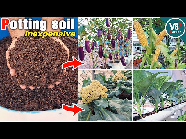 How to Make Potting Soil Mix for Container garden