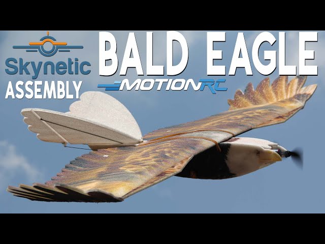 Skynetic Bald Eagle Assembly | Motion RC