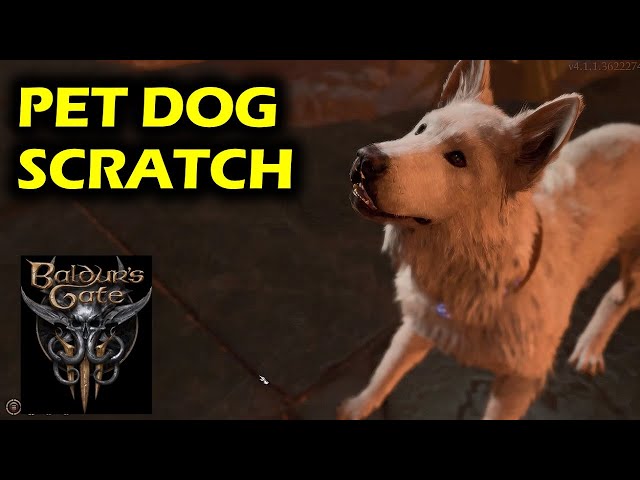Talking to Pet Dog Scratch | Baldur's Gate 3