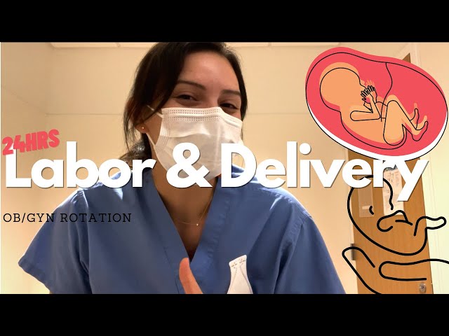 24hr Shift on Labor & Delivery (x2) | Rachel Southard