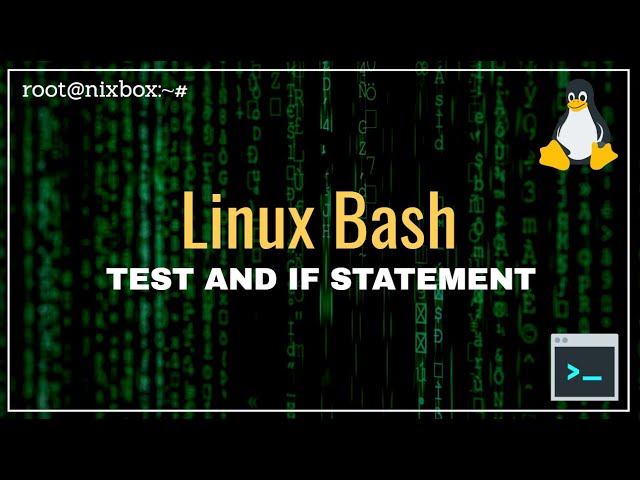 How to Use Test Conditions and If Statements in Bash