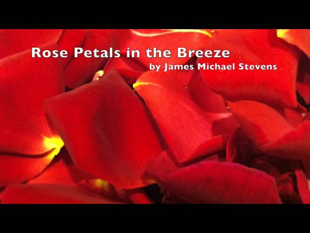 Rose Petals in the Breeze (Relaxing Jazz Piano)