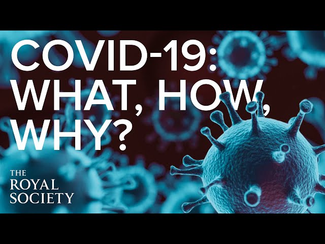 The what, the how and the why of the pandemic | The Royal Society