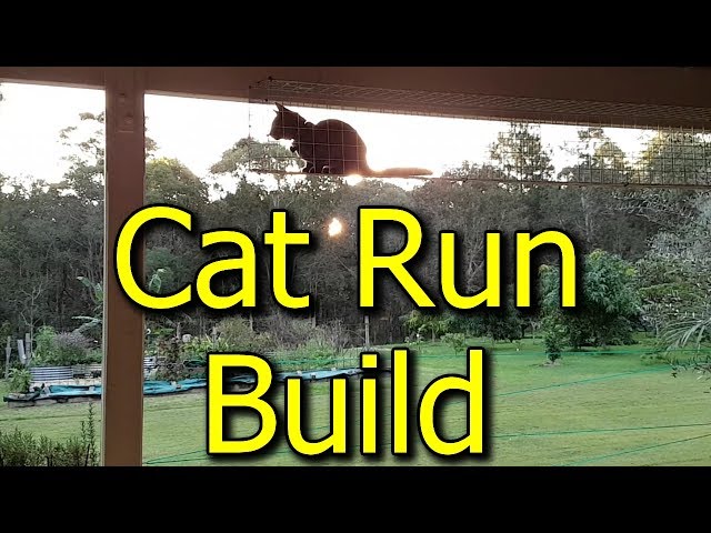 How to Build a Cat Run & Enclosure - What Materials We Used For DIY