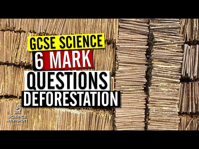 How to answer a 6 mark GCSE science question on deforestation and the atmosphere