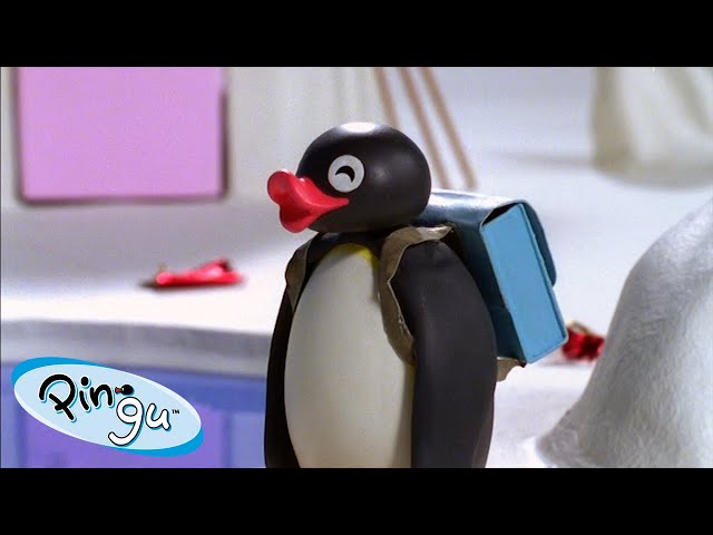 Best Episodes from Season 6 | Pingu - Official Channel | Cartoons For Kids