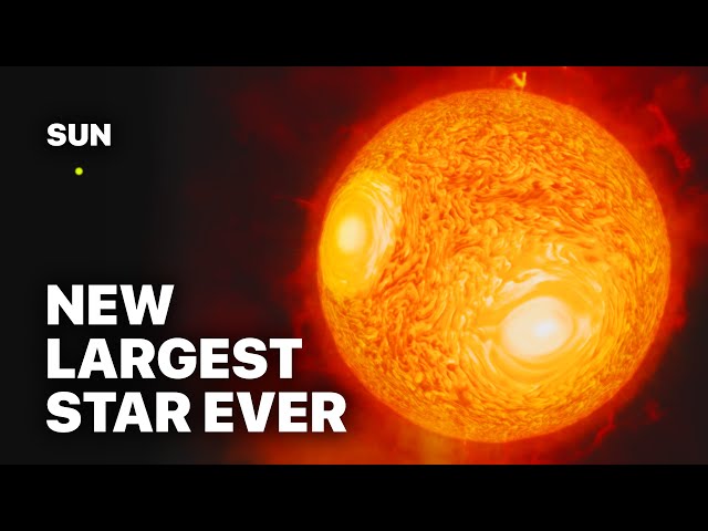 Why WOH G64 Is The Largest Star In The Universe - 2024