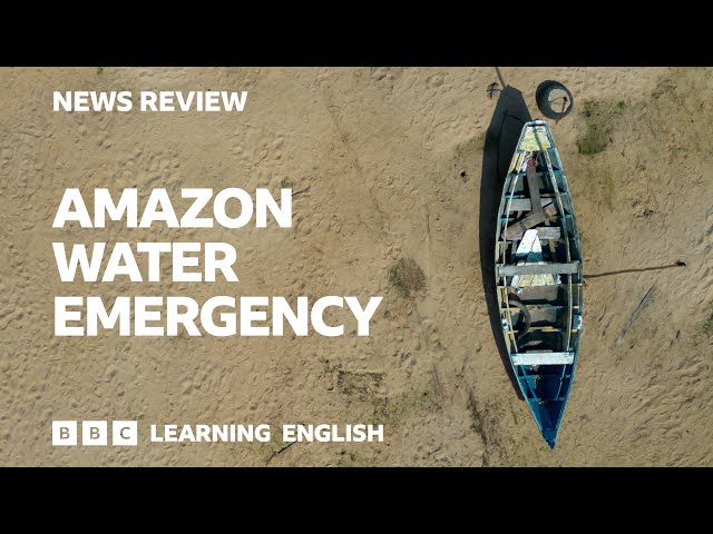 Amazon water emergency: BBC News Review