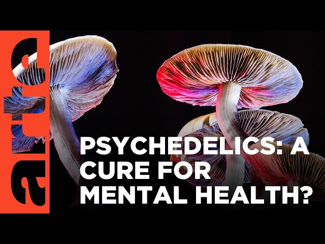 Psychedelic drugs | Tracks Inside | ARTE.tv Documentary