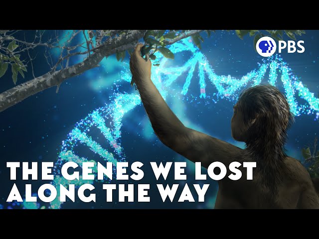 The Genes We Lost Along the Way