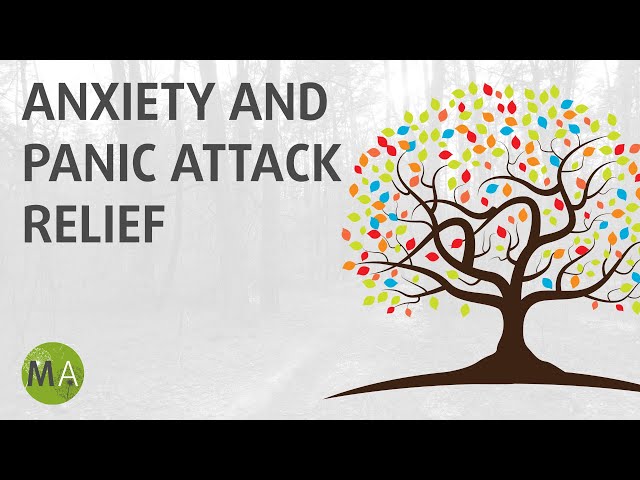 Anxiety and Panic Attack Relief Calming Mix - Alpha Isochronic Tones