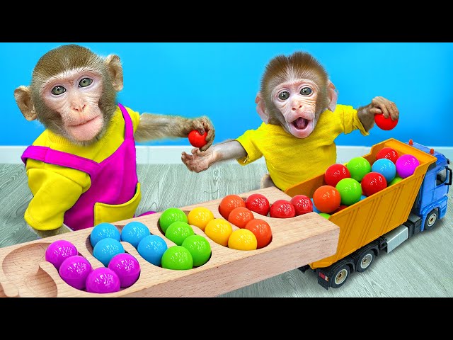 KiKi Monkey playing Marble Run Race and Lego Building Blocks with Naughty baby | KUDO ANIMAL KIKI