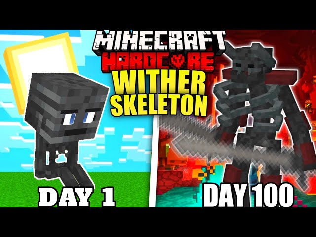 I Survived 100 Days as WITHER SKELETON in Hardcore Minecraft (Hindi)