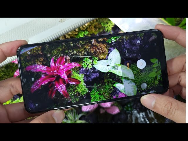 Vivo Y02A Camera test full features