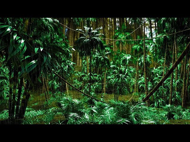 Relaxing Rain Sounds with Distant Thunder | for Sleep, Studying, Focus | Jungle White Noise 10 Hours