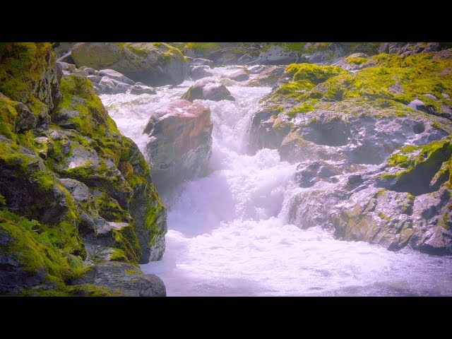 White Noise Sleep Waterfall Sounds | 10 Hours River & Water Sounds Ambience