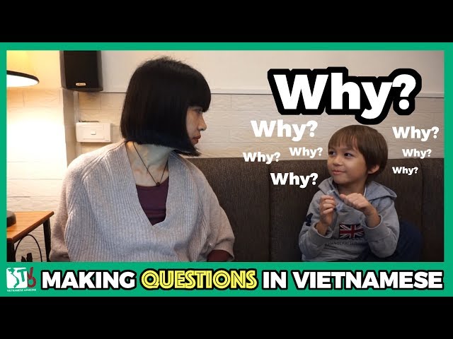 Why Questions | Learn Vietnamese with TVO