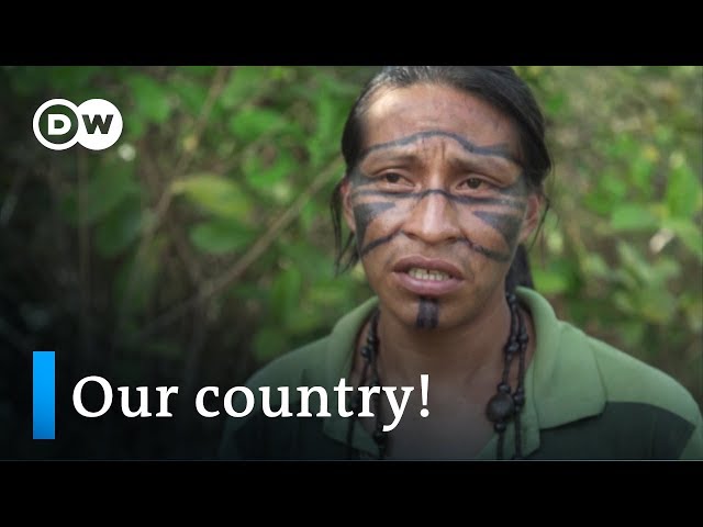 Brazil’s indigenous population fights back | DW Documentary (Environment documentary)