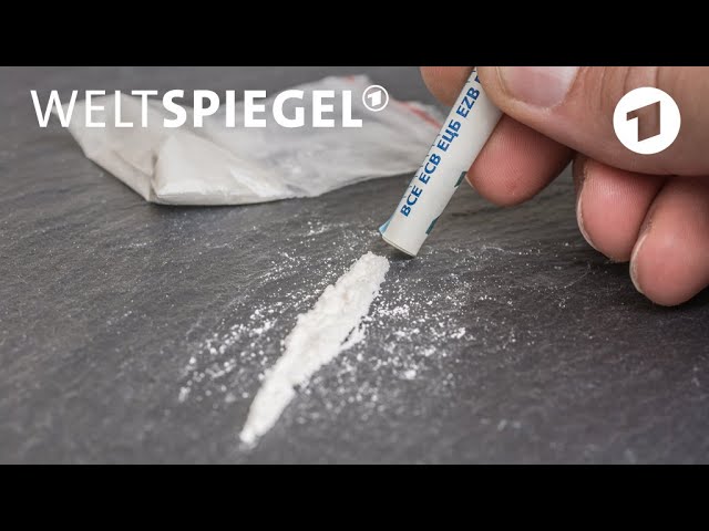 Belgien: Kokain-Schwemme in den Häfen